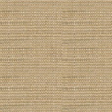 Ткань Kravet fabric 31747.1615.0
