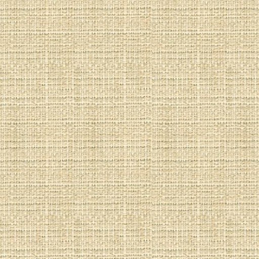 Ткань Kravet fabric 31747.101.0
