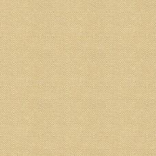 Ткань Kravet fabric 33002.1116.0