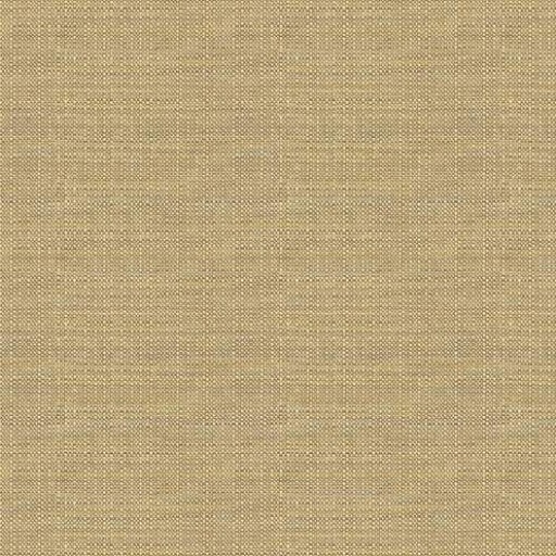 Ткань Kravet fabric 32923.616.0