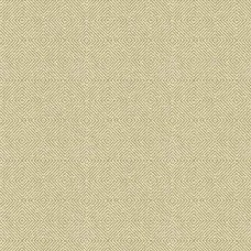 Ткань Kravet fabric 33002.116.0