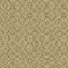 Ткань Kravet fabric 33002.66.0