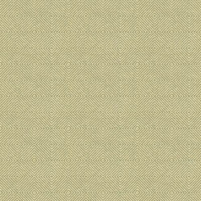 Ткань Kravet fabric 32924.516.0