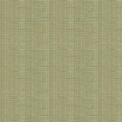 Ткань Kravet fabric 32946.1516.0