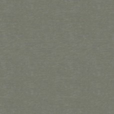 Ткань Kravet fabric 32950.1121.0