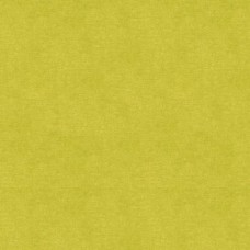 Ткань Kravet fabric 33125.3.0