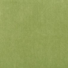 Ткань Kravet fabric 33299.303.0