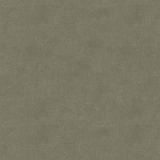 Ткань Kravet fabric 33299.106.0