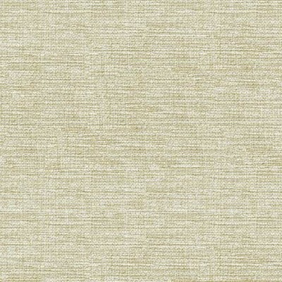 Ткань Kravet fabric 33406.1116.0