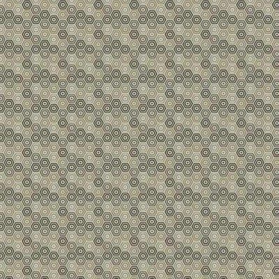 Ткань Kravet fabric 33638.1611.0