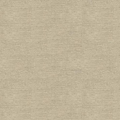 Ткань Kravet fabric 33876.1611.0