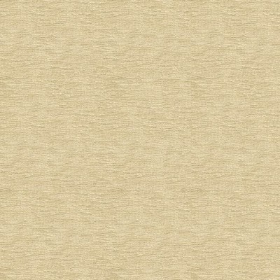 Ткань Kravet fabric 33876.1116.0