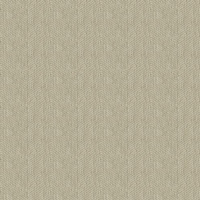 Ткань Kravet fabric 33877.1611.0