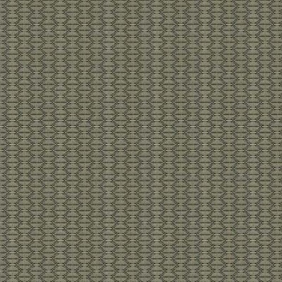 Ткань Kravet fabric 33880.1621.0