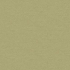 Ткань Kravet fabric 33886.1121.0
