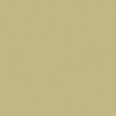 Ткань Kravet fabric 33886.1106.0