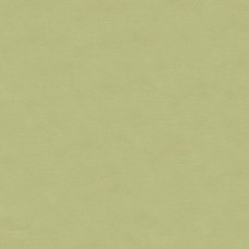 Ткань Kravet fabric 33886.1110.0