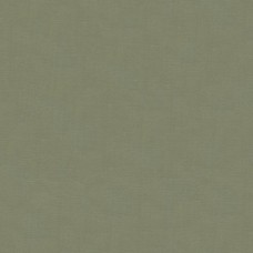 Ткань Kravet fabric 33886.2121.0