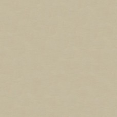 Ткань Kravet fabric 33886.1611.0