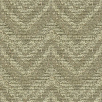 Ткань Kravet fabric 33979.1611.0