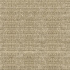 Ткань Kravet fabric 34191.106.0