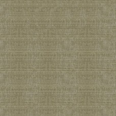 Ткань Kravet fabric 34191.2111.0