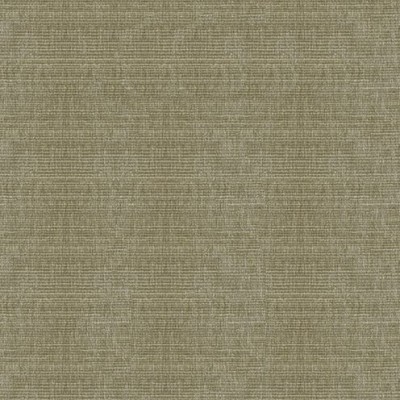 Ткань Kravet fabric 34191.2111.0