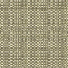 Ткань Kravet fabric 34210.1121.0