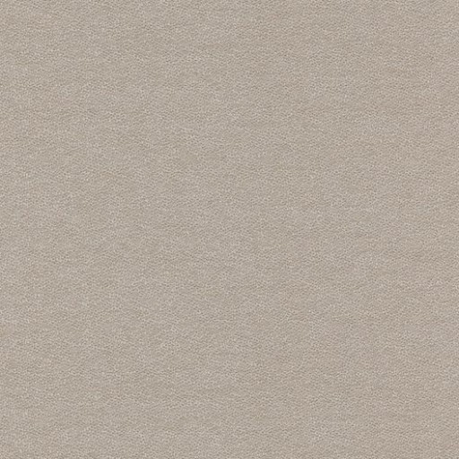 Ткань Kravet fabric 34366.1611.0
