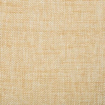 Ткань Kravet fabric 34926.1116.0