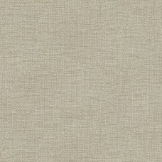Ткань Kravet fabric 34961.1606.0