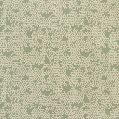 Ткань Kravet fabric 35091.3.0