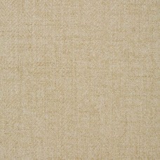 Ткань Kravet fabric 35119.113.0