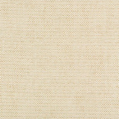 Ткань Kravet fabric 35132.116.0