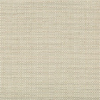Ткань Kravet fabric 35250.1611.0