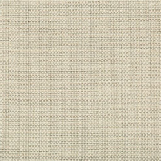 Ткань Kravet fabric 35250.1611.0