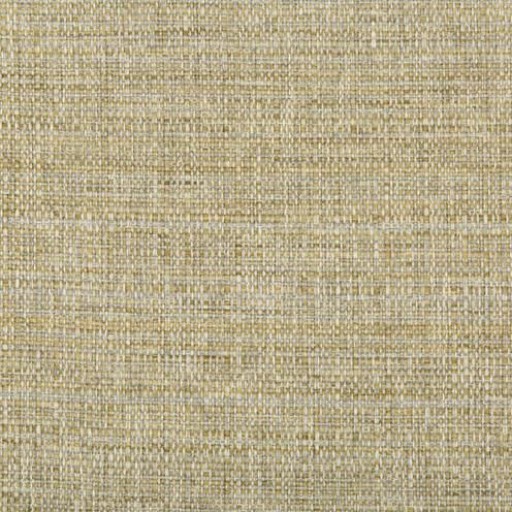 Ткань Kravet fabric 35441.416.0