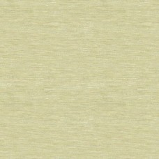 Ткань Kravet fabric 3779.1116.0