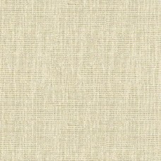 Ткань Kravet fabric 3922.411.0