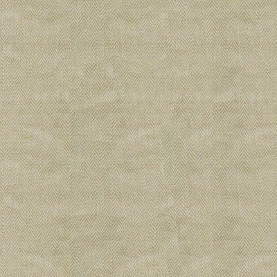 Ткань Kravet fabric 4032.1616.0