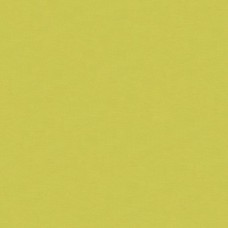 Ткань Kravet fabric 4070.340.0