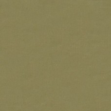 Ткань Kravet fabric 4070.8821.0