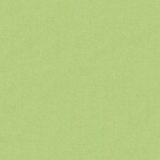 Ткань Kravet fabric 4070.330.0