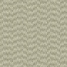 Ткань Kravet fabric 4119.11.0