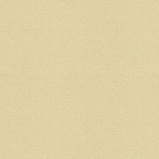 Ткань Kravet fabric 4113.16.0
