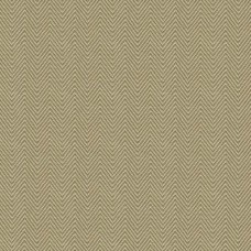 Ткань Kravet fabric 4119.4.0