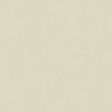Ткань Kravet fabric 4202.111.0