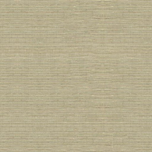 Ткань Kravet fabric 4216.1121.0