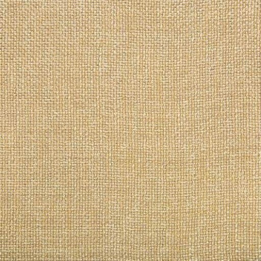 Ткань Kravet fabric 4458.16.0