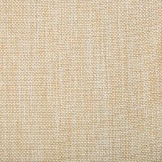 Ткань Kravet fabric 4458.1601.0